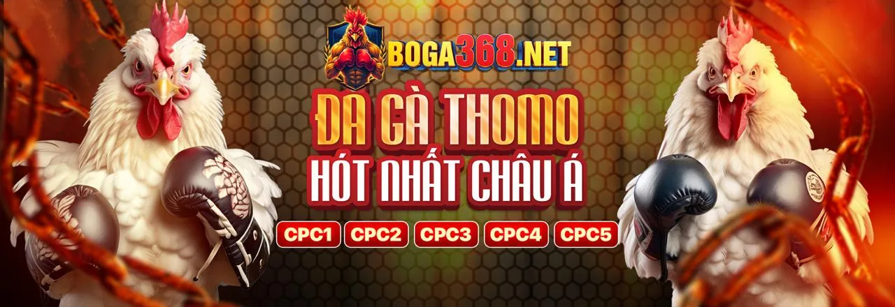 Mẹo và chiến thuật cá cược đá gà hiệu quả